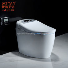 Automatic Flushing Intelligent Toilet  and Smart Toilet